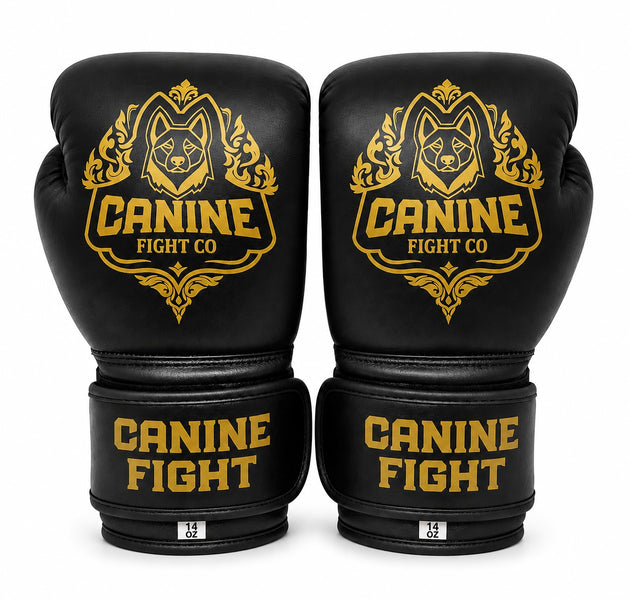 Guante de Boxeo/Muay thai/Kickboxing cuero legitimo